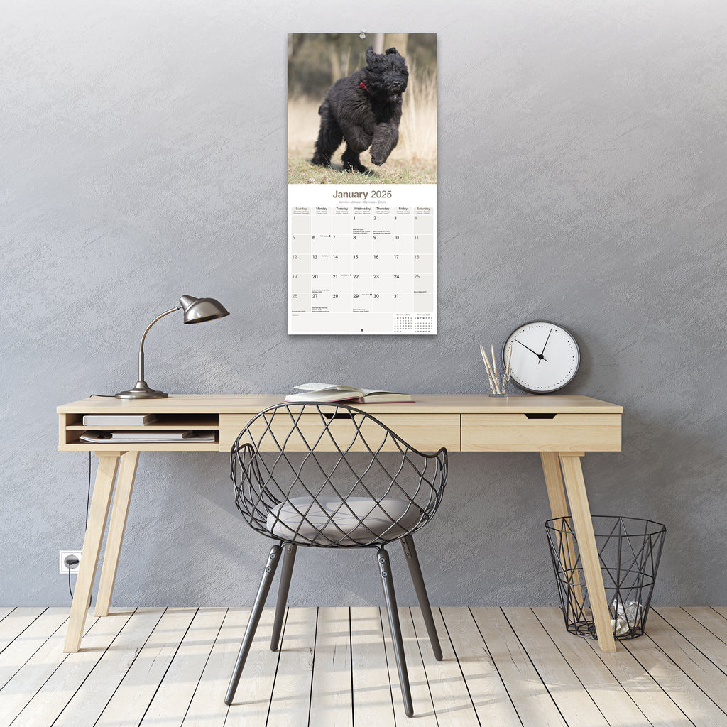 Bouvier des Flandres Calendar 2025 Avonside Publishing Ltd