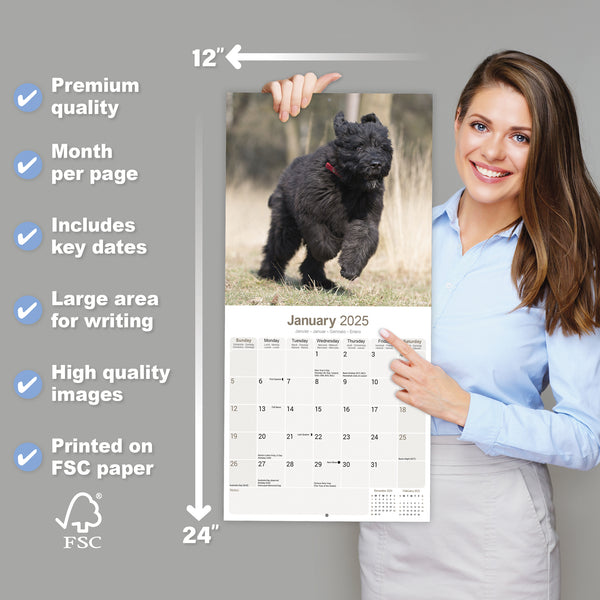 Bouvier des Flandres Calendar 2025 Avonside Publishing Ltd