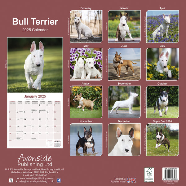 Bull Terrier Calendar 2025