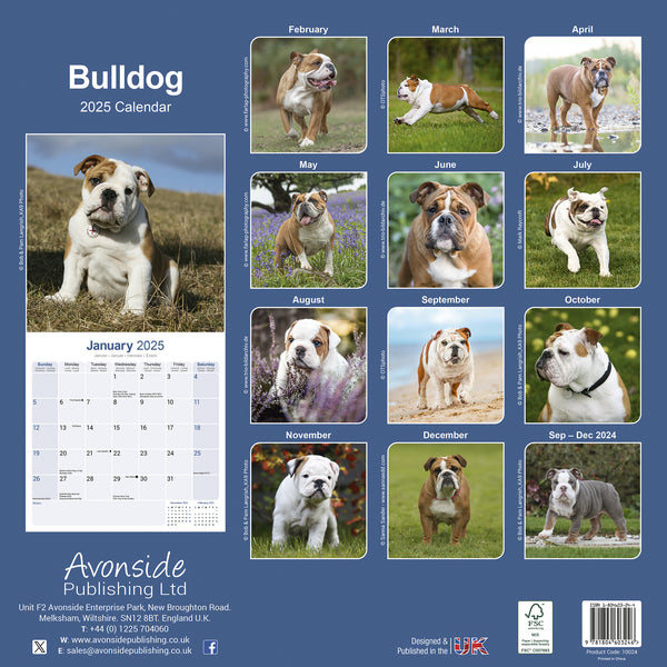 Bulldog Calendar 2025