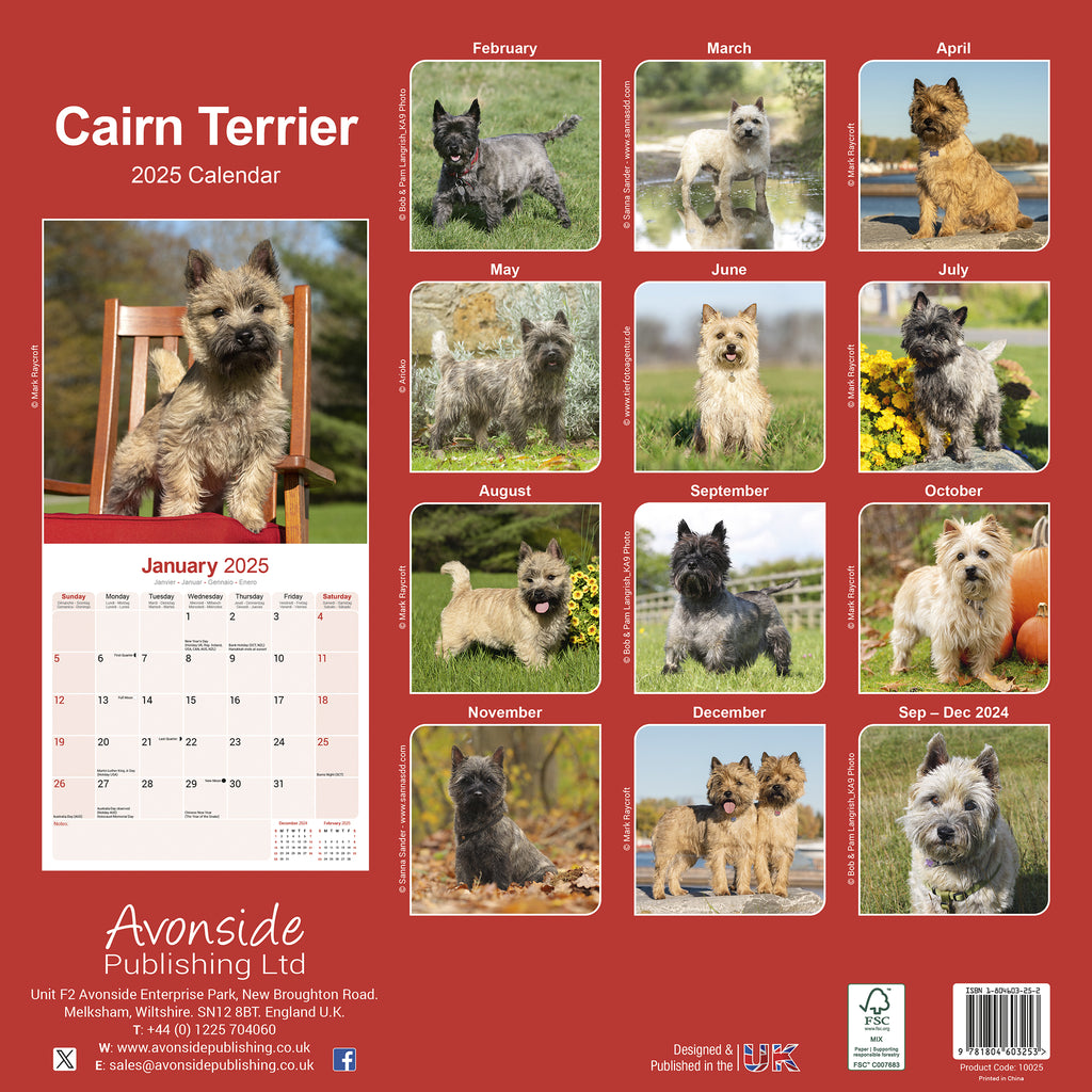 Cairn Terrier Calendar 2025 Avonside Publishing Ltd