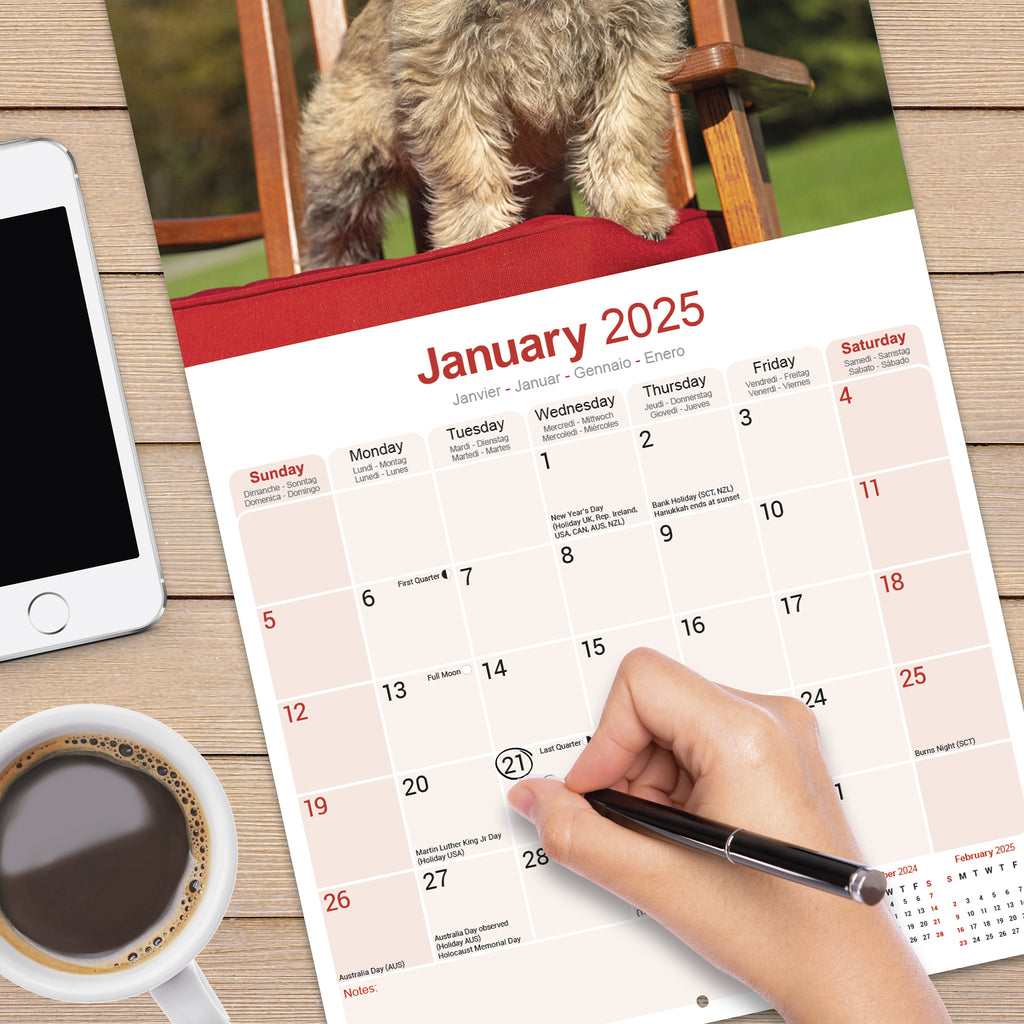 Cairn Terrier Calendar 2025 Avonside Publishing Ltd