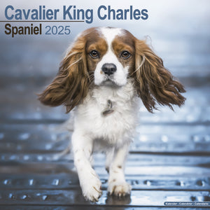 Cavalier King Charles Spaniel Calendar 2025