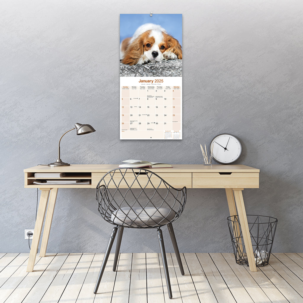 Cavalier King Charles Spaniel Calendar 2025 Avonside Publishing Ltd