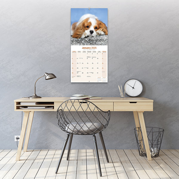 Cavalier King Charles Spaniel Calendar 2025