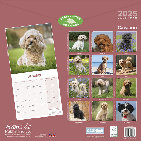 Cavapoo Calendar 2025