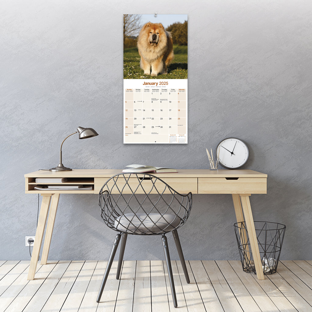 Chow Chow Calendar 2025 Avonside Publishing Ltd