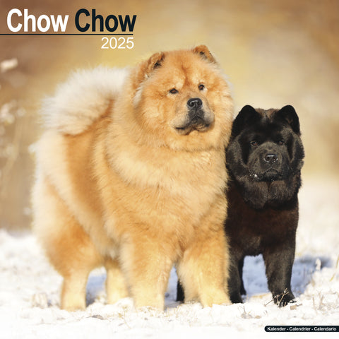 Chow Chow Calendar 2025