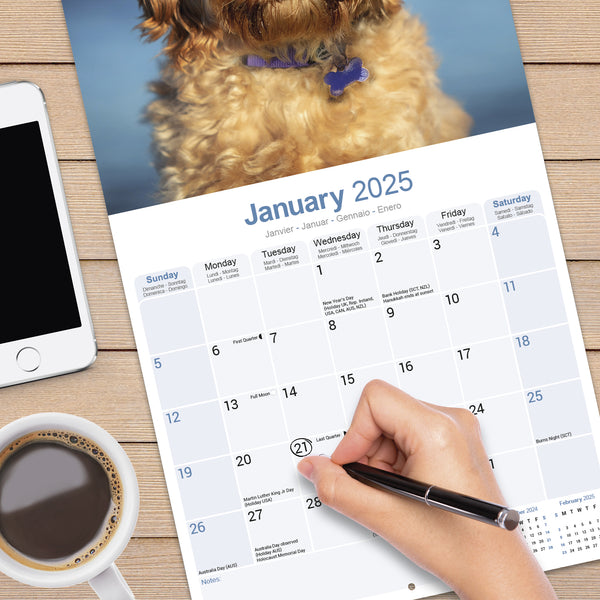 Cockapoo Calendar 2025