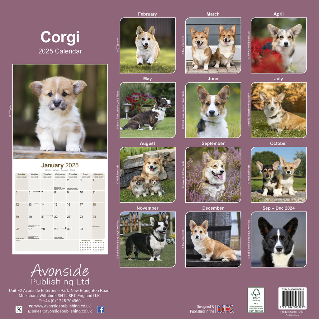 Corgi Calendar 2025