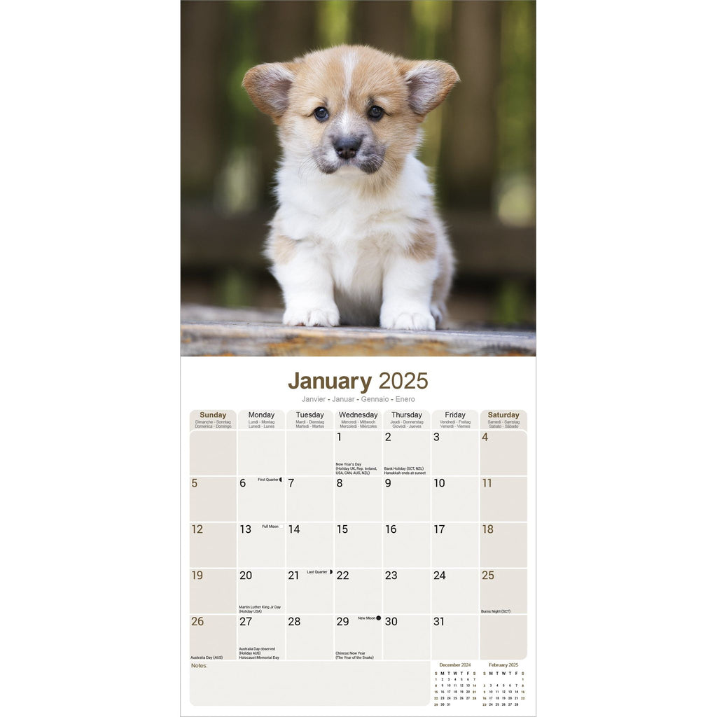 Calendar 2025 Avonside Publishing Ltd