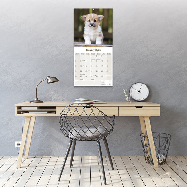 Corgi Calendar 2025