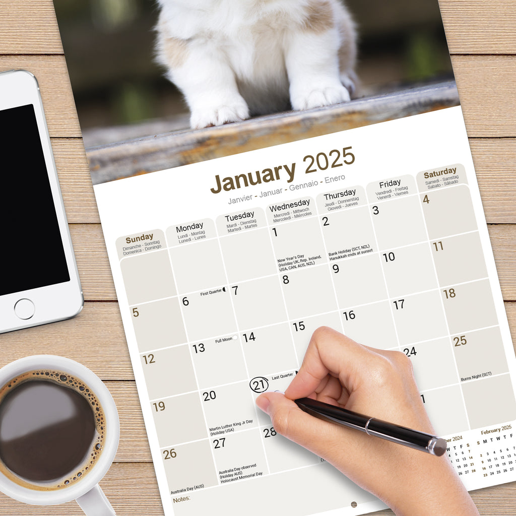 Corgi Calendar 2025