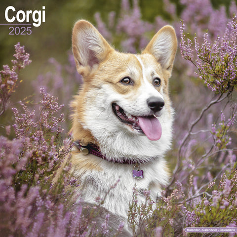 Corgi Calendar 2025