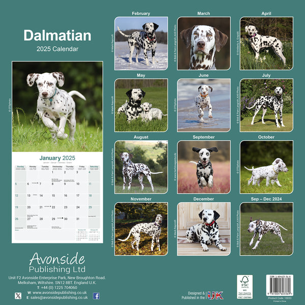 Dalmatian Calendar 2025