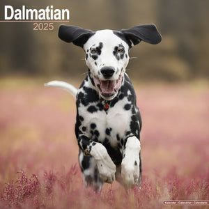 Dalmatian Calendar 2025