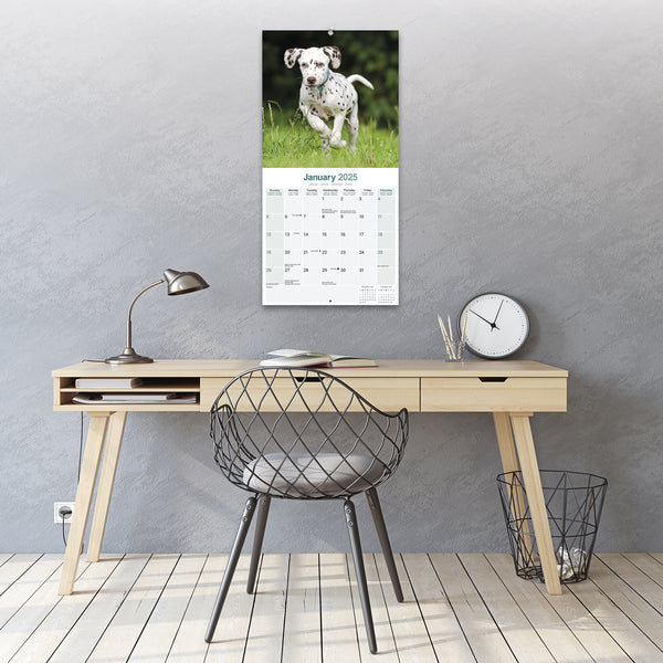 Dalmatian Calendar 2025