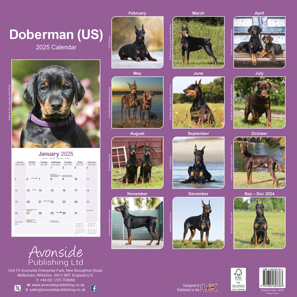 2025 Doberman Calendar