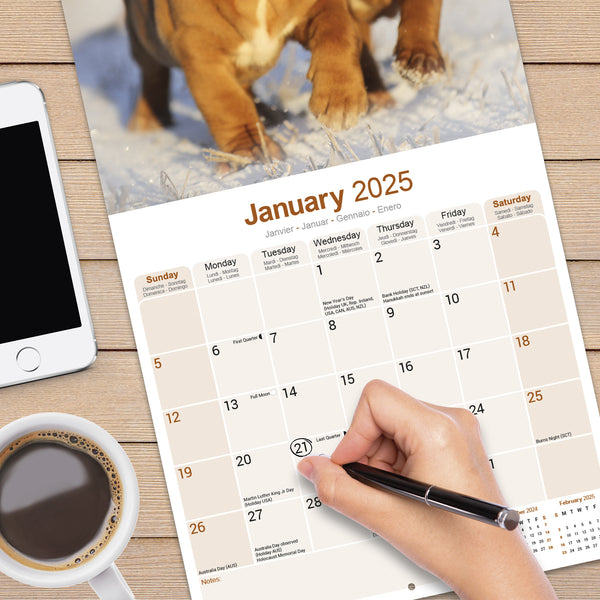 Dogue de Bordeaux Calendar 2025