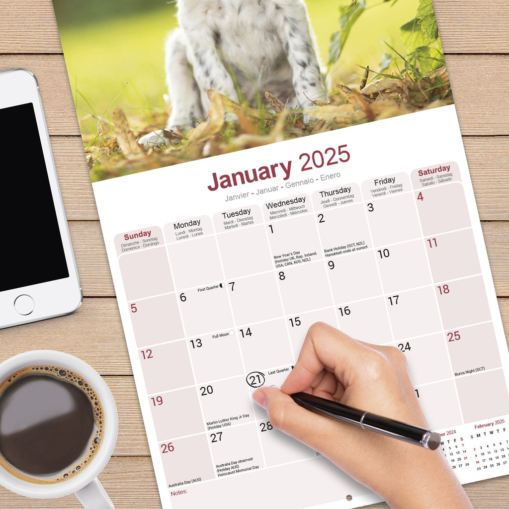 English Setter Calendar 2025 Avonside Publishing Ltd English Setter Calendar 2025