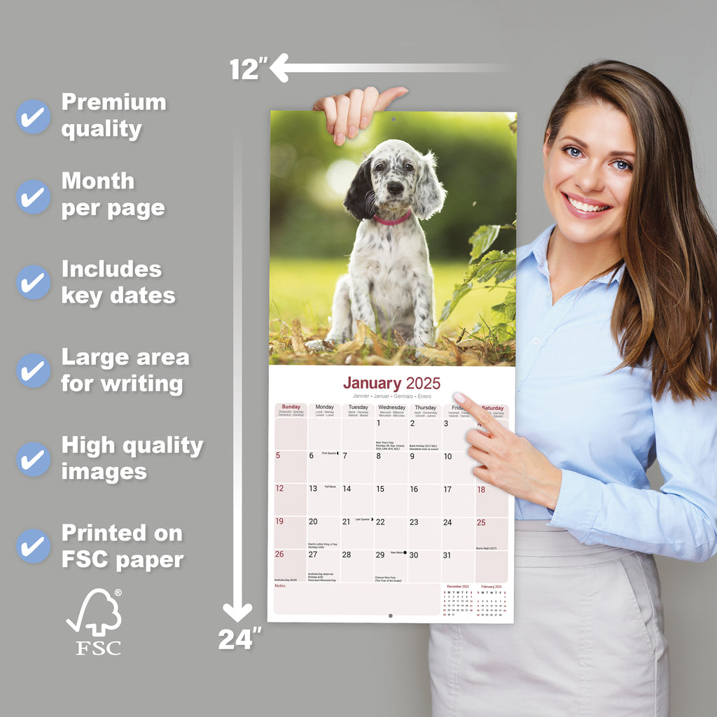 English Setter Calendar 2025 Avonside Publishing Ltd English Setter Calendar 2025