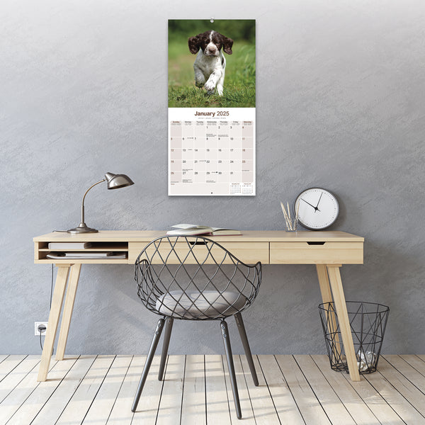 English Springer Spaniel Calendar 2025