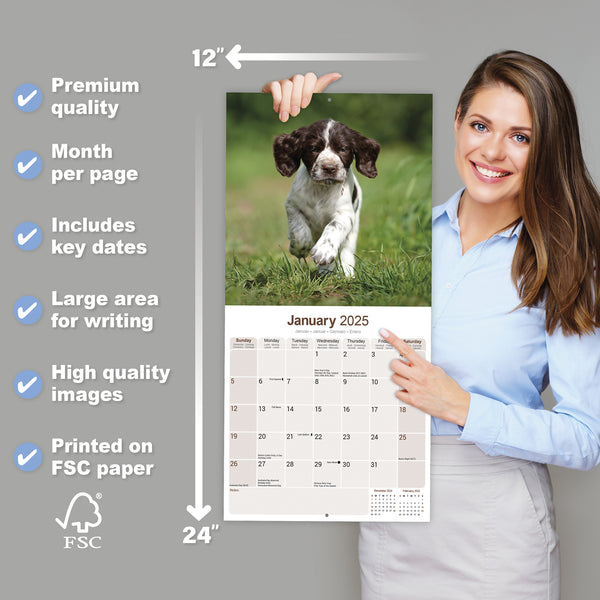 English Springer Spaniel Calendar 2025