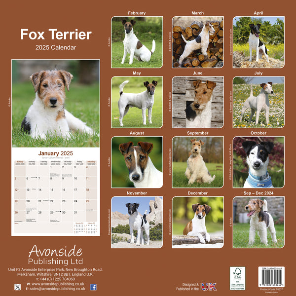 Fox Terrier Calendar 2025