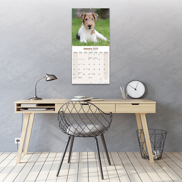 Fox Terrier Calendar 2025