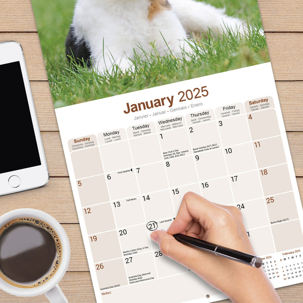 Fox Terrier Calendar 2025