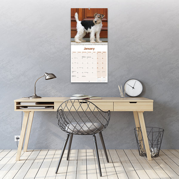 Wirehaired Fox Terrier Calendar 2025