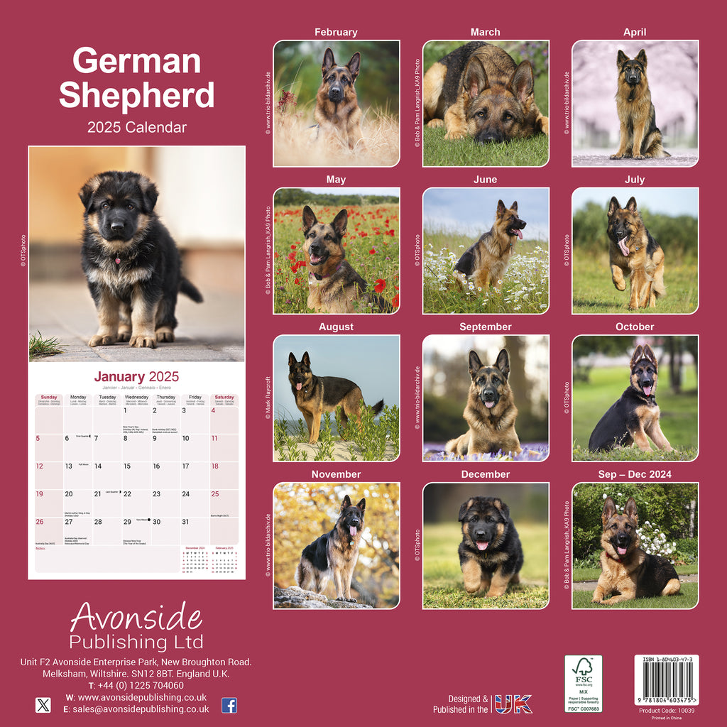 German Shepherd Calendar 2025 Avonside Publishing Ltd