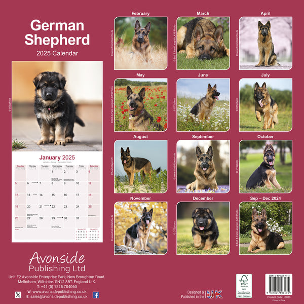 German Shepherd Calendar 2025