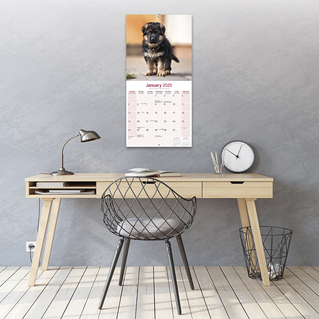 German Shepherd Calendar 2025 Avonside Publishing Ltd