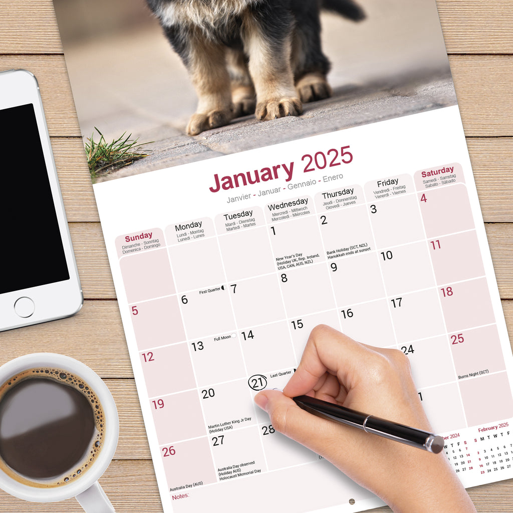 German Shepherd Calendar 2025 Avonside Publishing Ltd