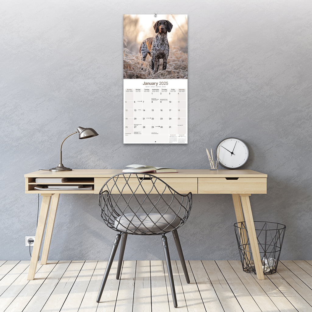 German Short Haired Pointer Calendar 2025 Avonside Publishing Ltd