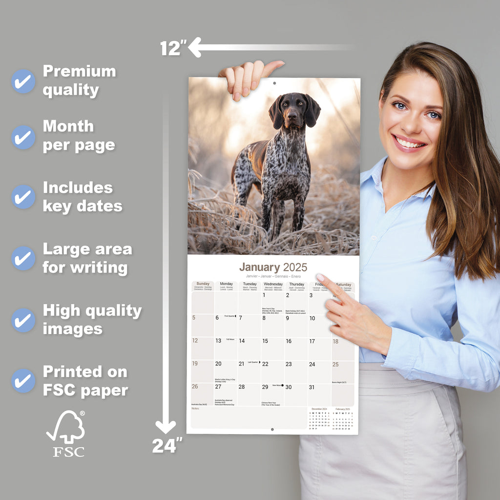 German Short Haired Pointer Calendar 2025 Avonside Publishing Ltd