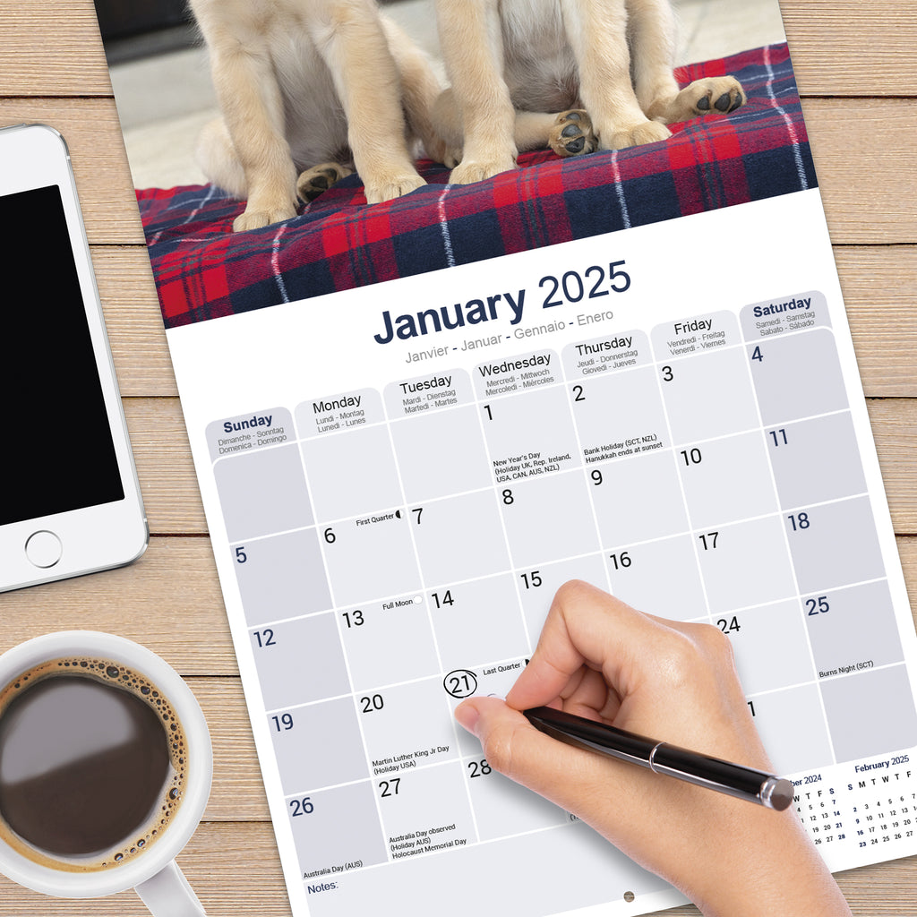 Golden Retriever Calendar 2025 Avonside Publishing Ltd