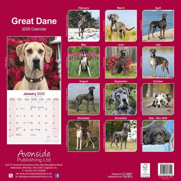 Great Dane Calendar 2025