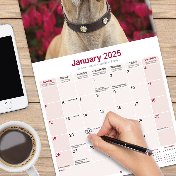 Great Dane Calendar 2025