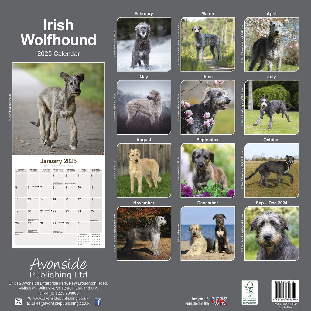 Irish Wolfhound Calendar 2025 Avonside Publishing Ltd