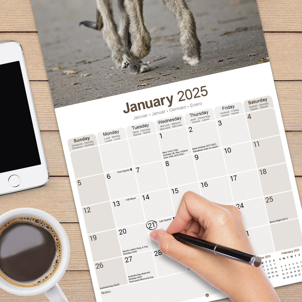 Irish Wolfhound Calendar 2025 Avonside Publishing Ltd