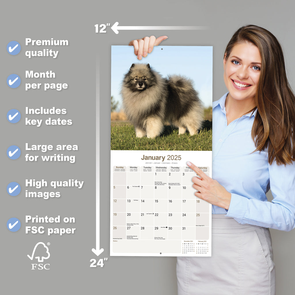 Keeshond Calendar 2025 Avonside Publishing Ltd