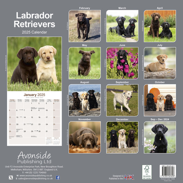 Labrador Retrievers Calendar 2025