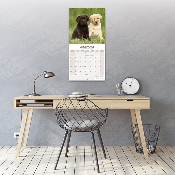 Labrador Retrievers Calendar 2025