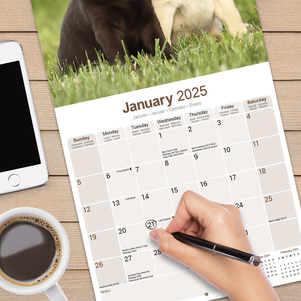 Labrador Retrievers Calendar 2025