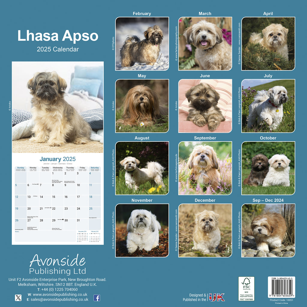 Lhasa Apso Calendar 2025 Avonside Publishing Ltd