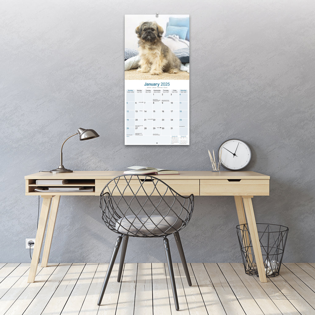 Lhasa Apso Calendar 2025 Avonside Publishing Ltd