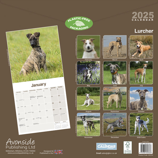 Lurcher Calendar 2025