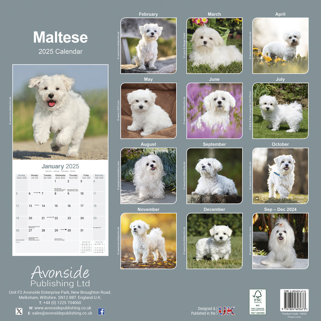 Maltese Calendar 2025 Avonside Publishing Ltd